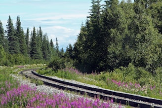 Denali_NP_rail_tracks.jpg